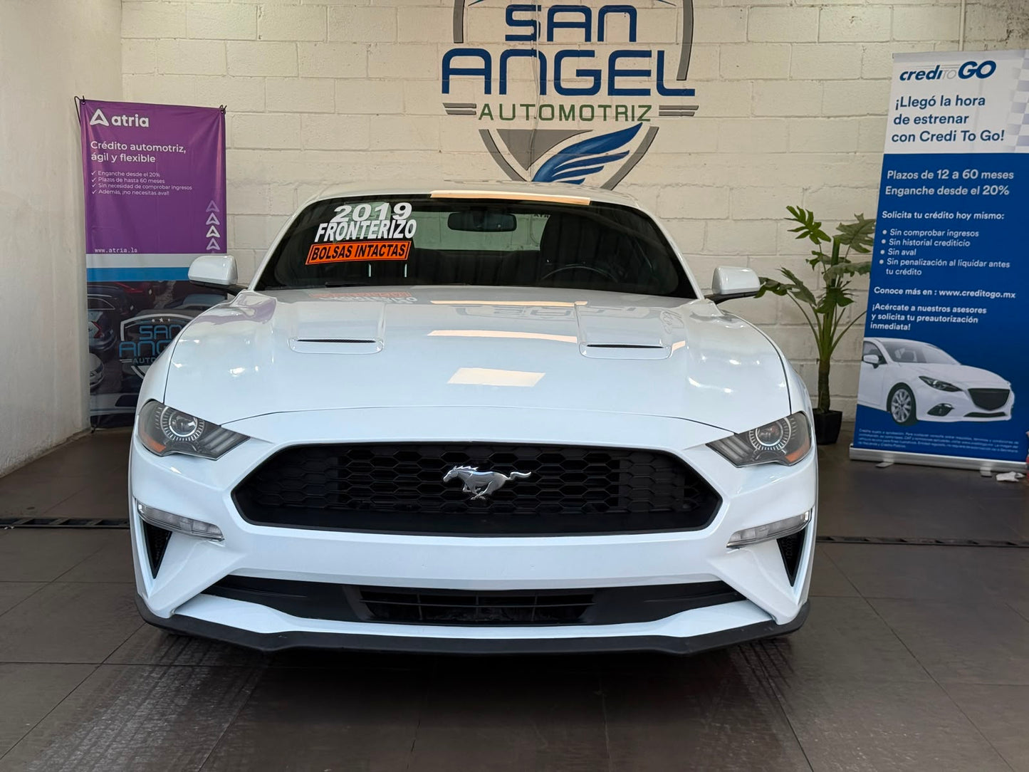 Ford Mustang 2019